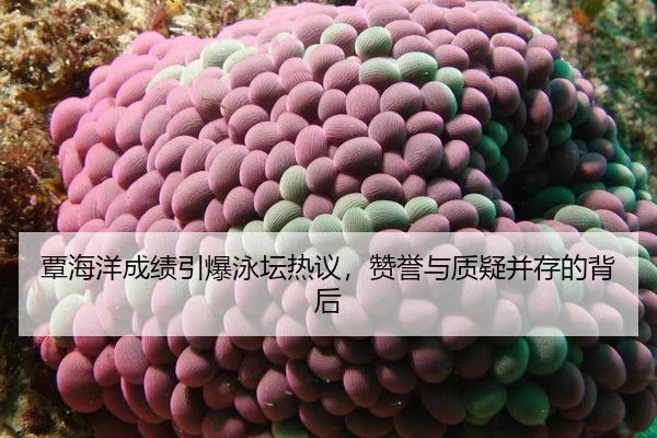 tan-hai-yang-cheng-ji-yin-bao-yong-tan-re-yi-zan-yu-yu-zhi-yi-bing-cun-de-bei-hou-2-784.jpg